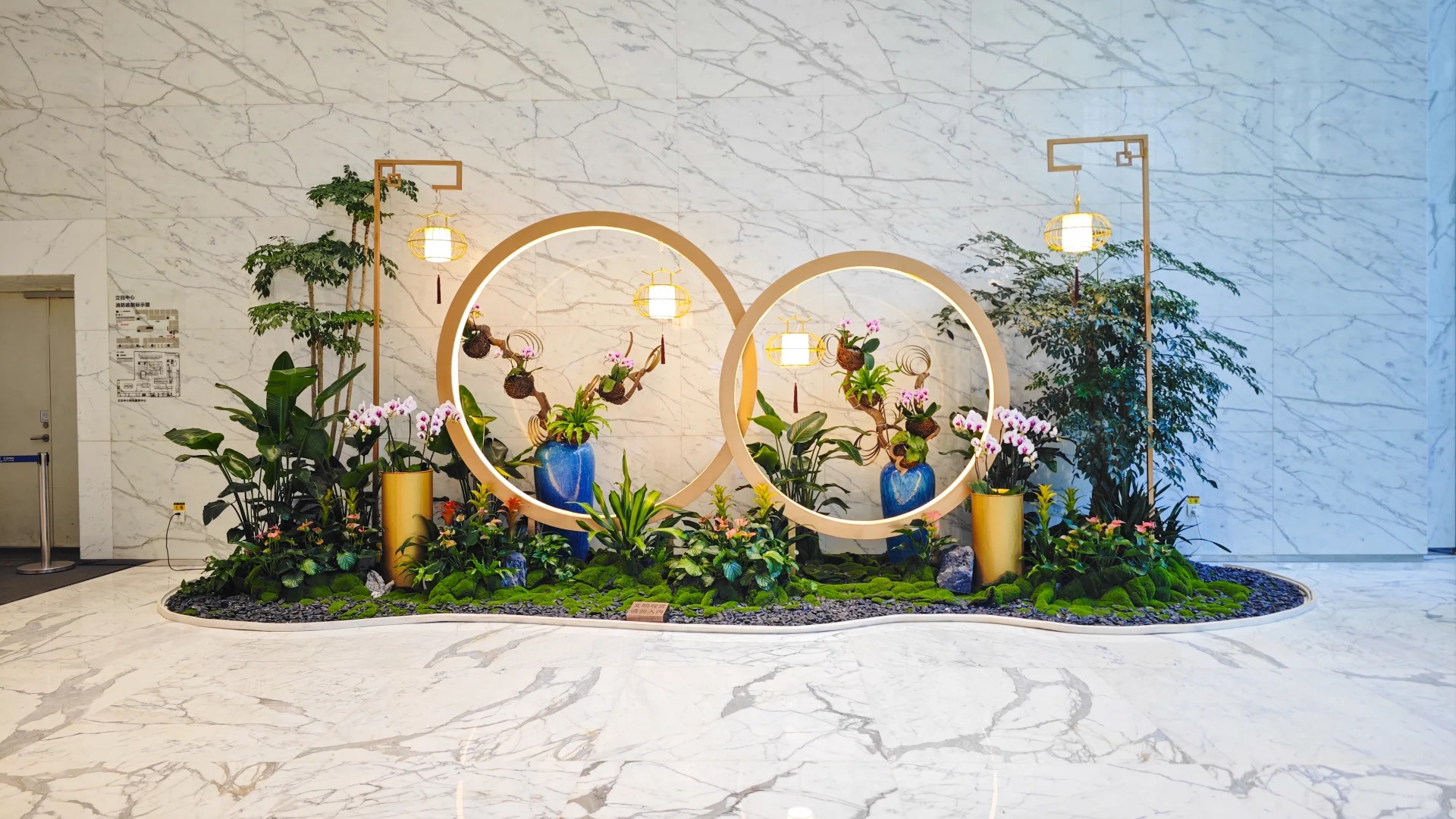 专业绿植出租在前湾，装点您的每一寸空间